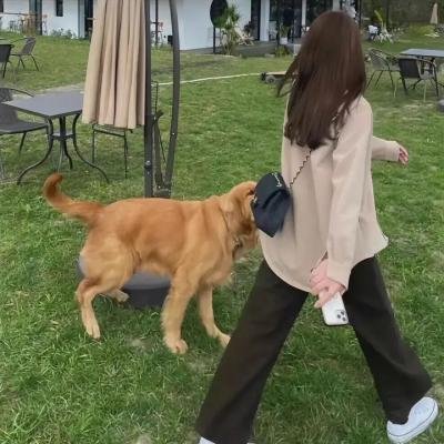 马丽